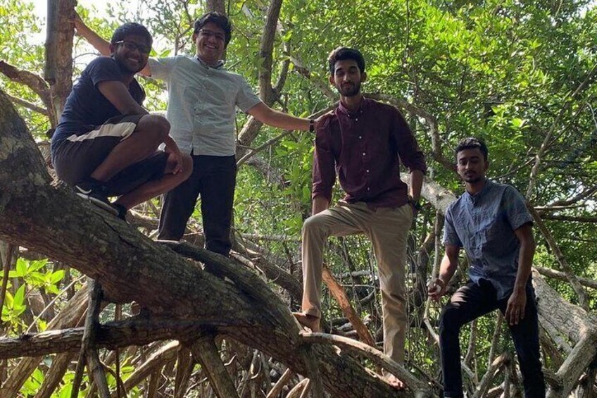 Mangrove Adventure