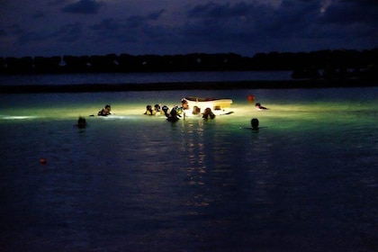 Night Snorkelling Experience in Mirissa