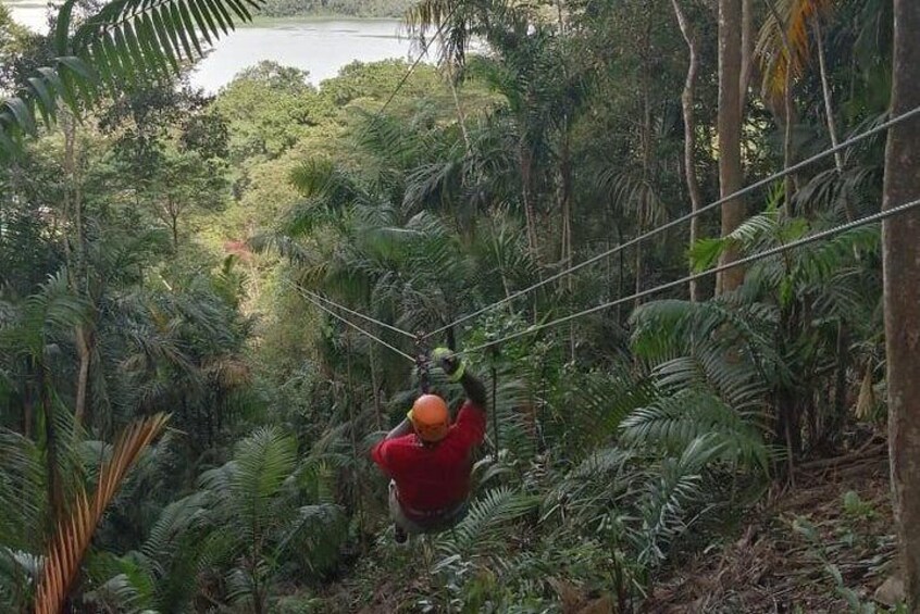 Zipline Adventure In The Rainforest