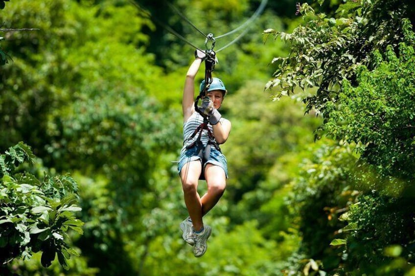 Zipline Adventure In The Rainforest