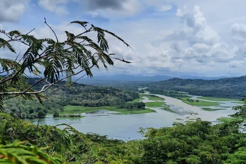 Zipline Adventure In The Rainforest