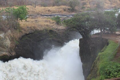 Murchison Falls Safari - 3 Days