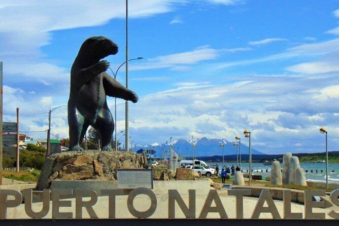 how to go from puerto natales to el calafate by bus