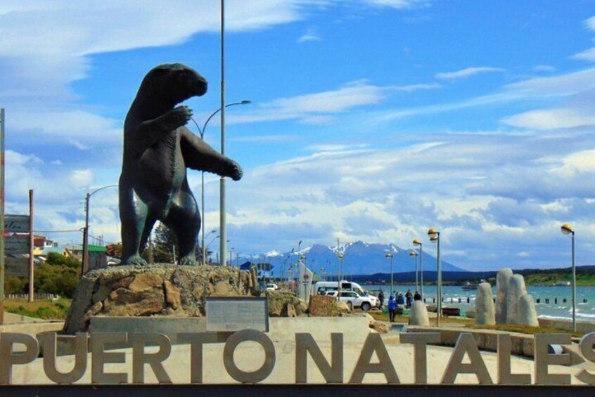 El Calafate: Bus ticket to Puerto Natales, Chile