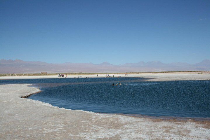 San Pedro de Atacama: Half day Cejar Lagoon afternoon tour.