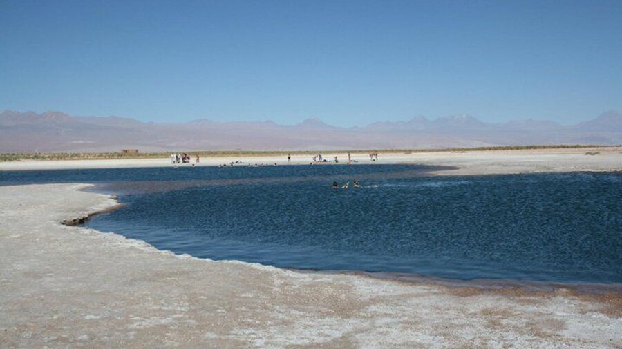 San Pedro de Atacama: Half day Cejar Lagoon afternoon tour.