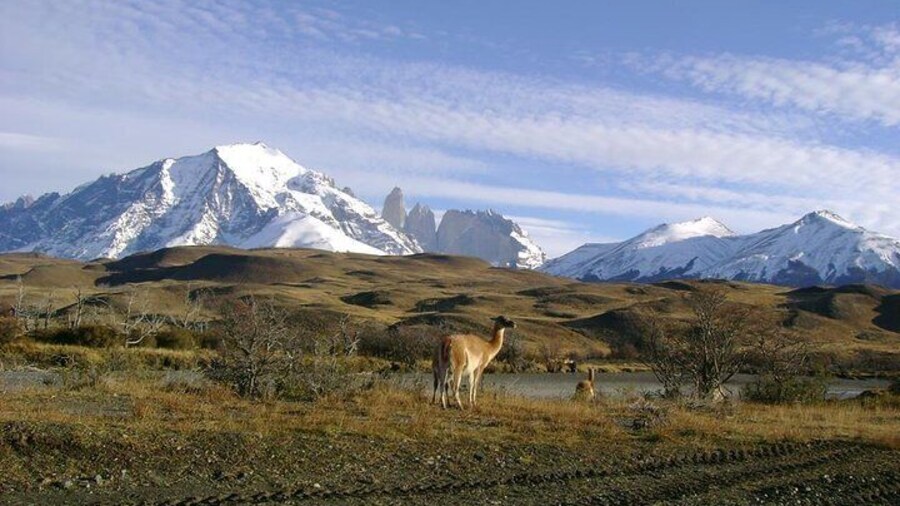 Torres del Paine National Park