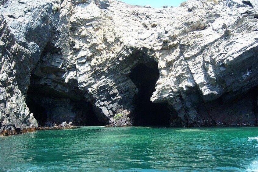 La Serena: Full day to Isla Damas & Humbolt Pinguino National Reserve