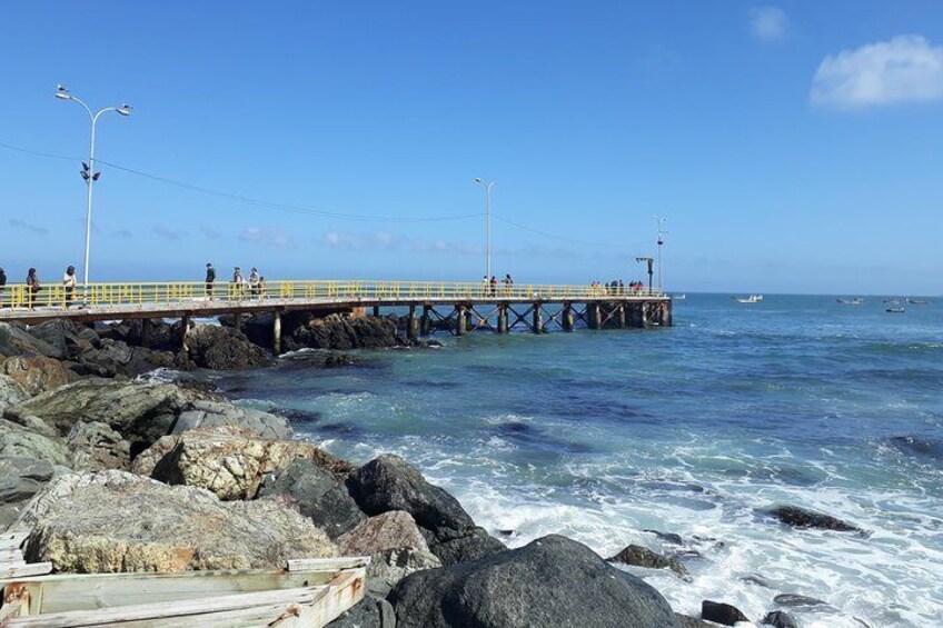 La Serena: Full day to Isla Damas & Humbolt Pinguino National Reserve