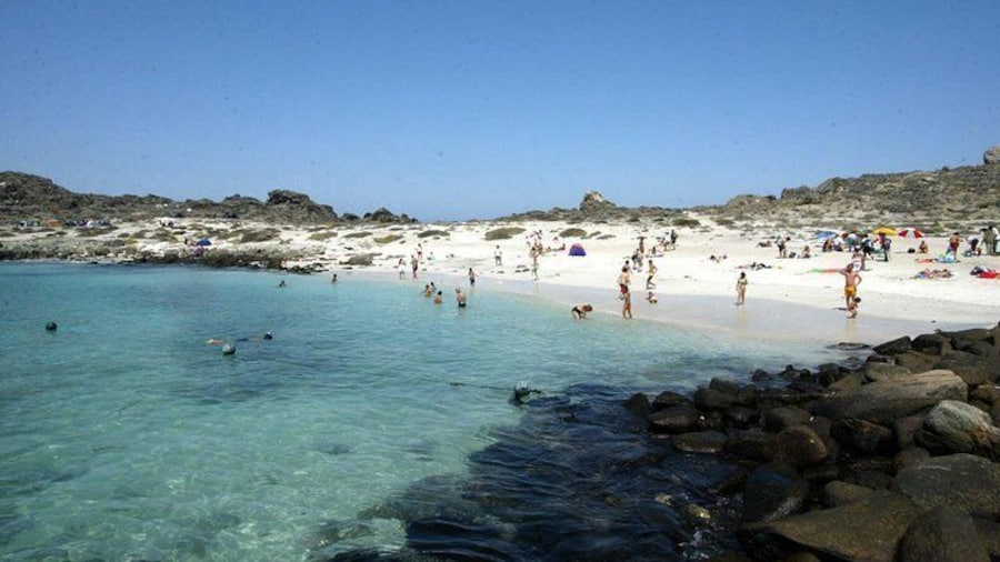 Dama island