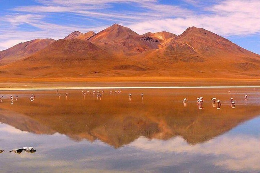 Uyuni Salt Flat 2D1N Tour from Cusco or La Paz 