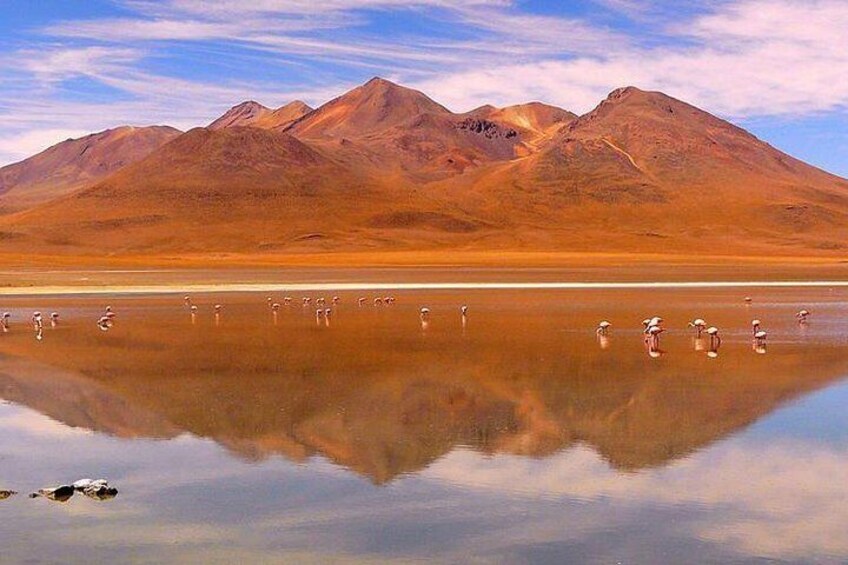 Uyuni Salt Flat 2D1N Tour from Cusco or La Paz 