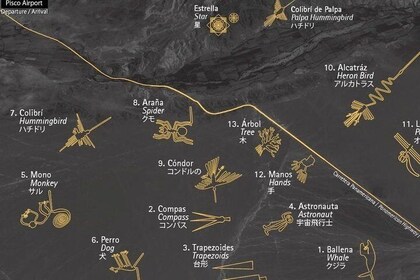 Day Tour To Nazca Lines From Lima