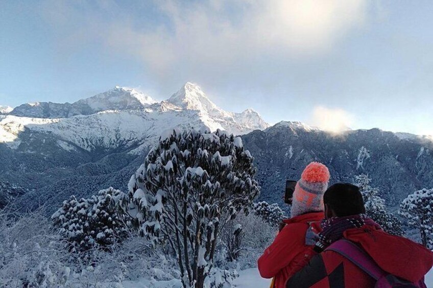 Winter trek to Poon Hill.