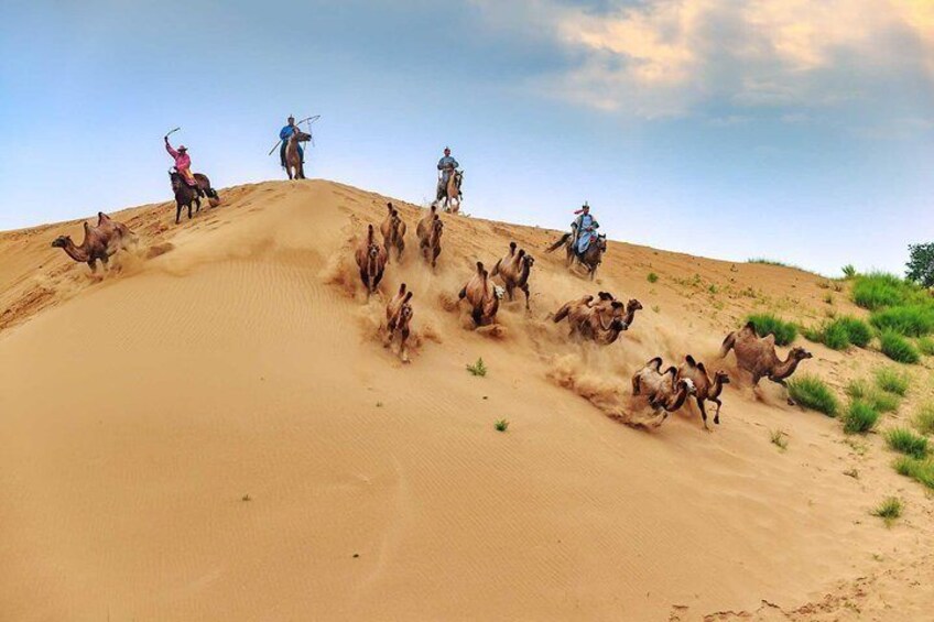 Khongor sand dunes