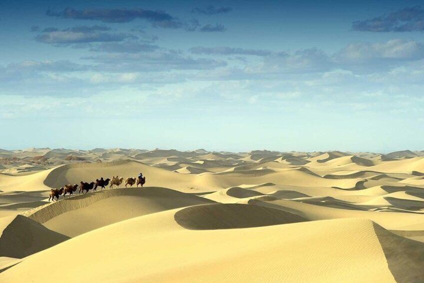 Khongor sand dunes