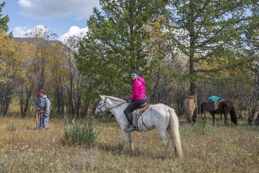 Day 3: Horse trekking