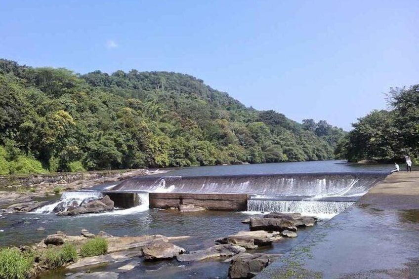 Athirappally & Vazhachal Waterfall Tour with Lunch