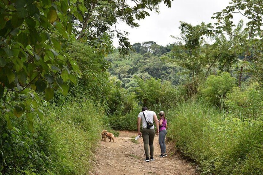 Amazing full day tour to Minca with a private guide