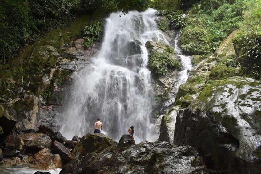 Organic Coffee Tour and Gorgeous Waterfalls in Minca