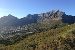Table Mountain, City and Constantia Wine Valley Tour