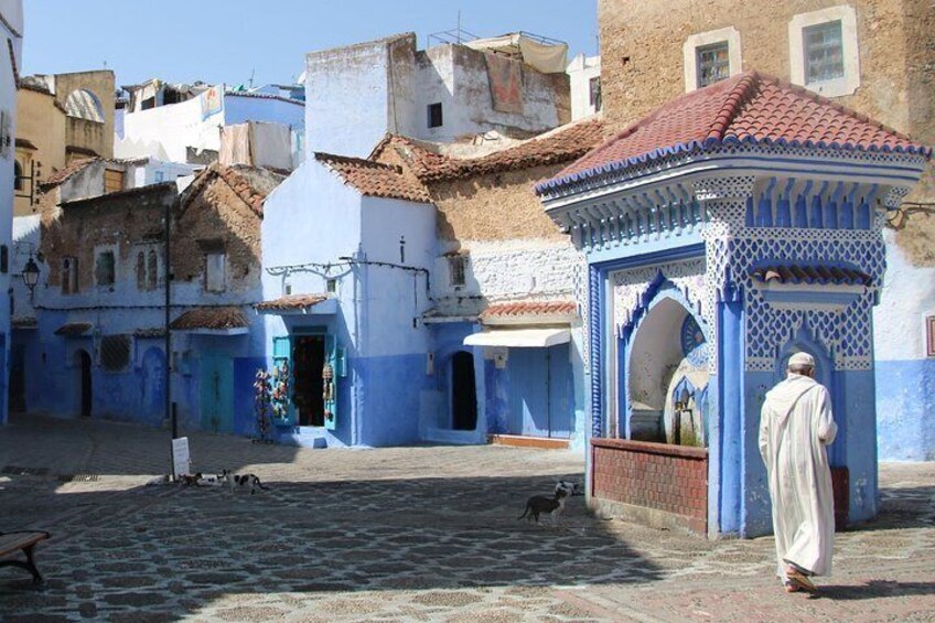 Fez to Chefchaouen Day Trip