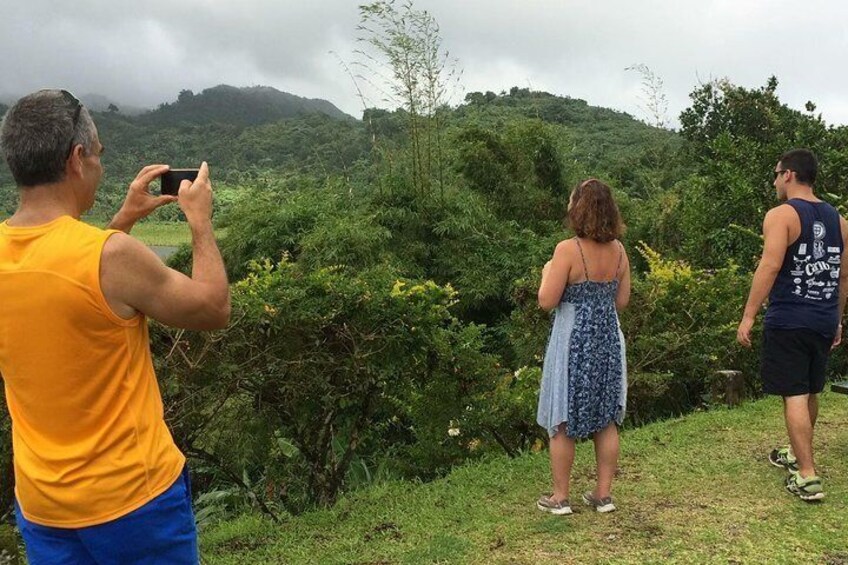 Small-Group Adventure Trek in Grand Etang National Park