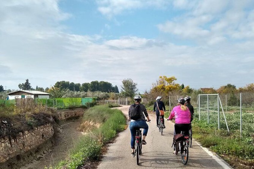 Show item 5 of 7. Cycling along the Aljufia main canal.