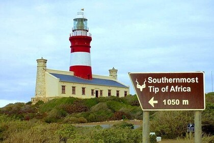 Cape Agulhas Southern most Tip of African Continent Full Day Tour