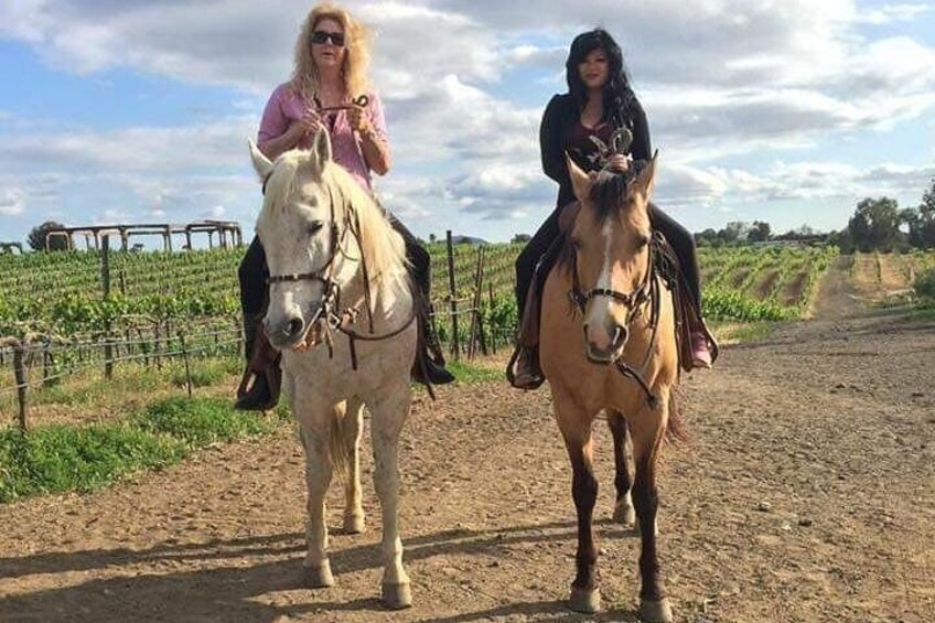 Horseback Riding and Wine Tours