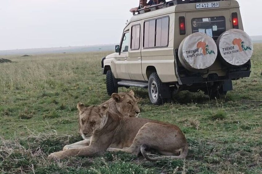 Serengeti