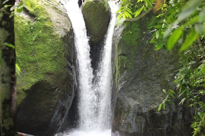 Waterfall Tour