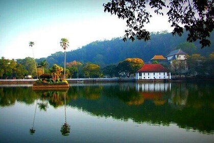 Kandy Sightseeing Day Tour from Negombo / Colombo / Bentota (All Inclusive)