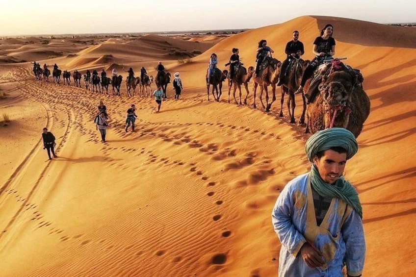  1 Night All inclusive Camel Ride & Desert Camp