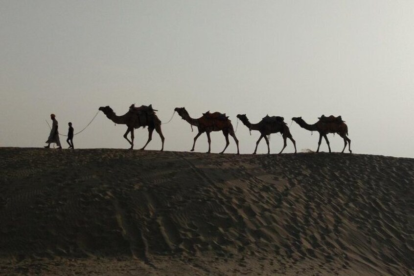 Private Heritage Walking Tour in Jaisalmer Fort and Old Bazaar