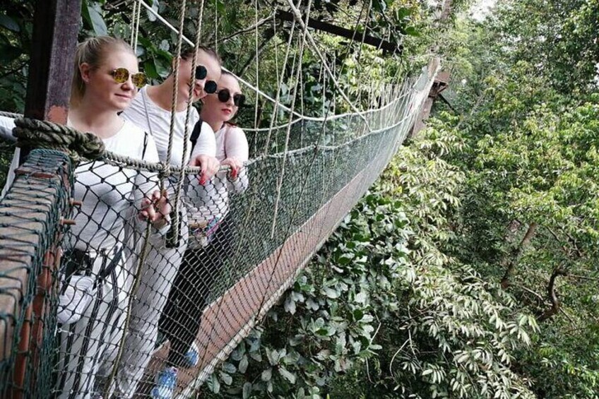 The Canopy walkway 