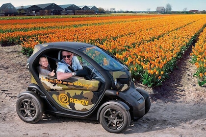 Conduisez-le vous-même, tour audio avec GPS Tulip et Flower Fields