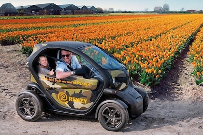 Guidalo da solo Tulipano elettrico e campi di fiori Tour audio GPS