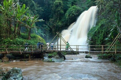 Eco-Trekking at Doi Inthanon National Park(Pha Dok Siew trail)