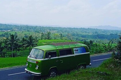 Bali VW Bus. Ubud VW Tour