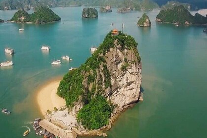 Excursión de un día en crucero por la bahía de Ha Long con almuerzo, kayak,...