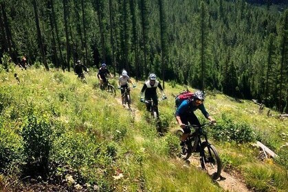 Private Guided Mountain Bike Tour
