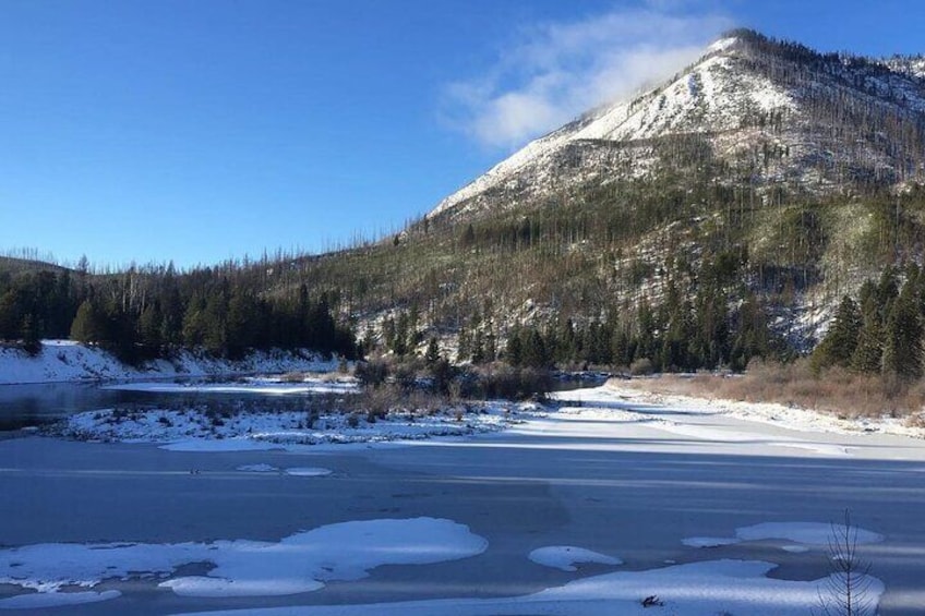 Combo: Scenic Drive & 2hr Snowshoeing Tour in Glacier National Park