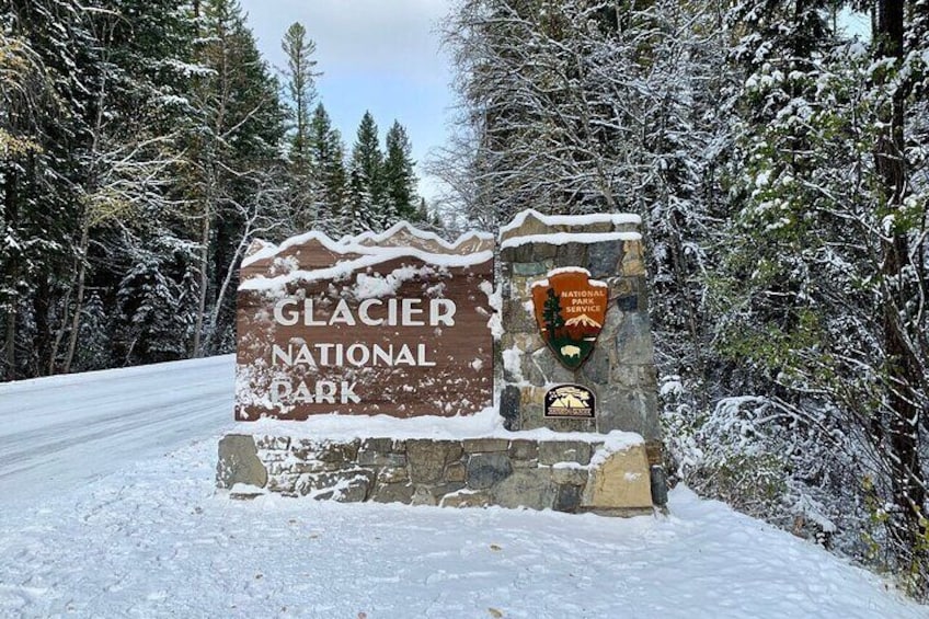 Combo: Scenic Drive & 2hr Snowshoeing Tour in Glacier National Park