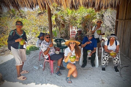 Cozumel: Private Tour by MiniVan or Jeep