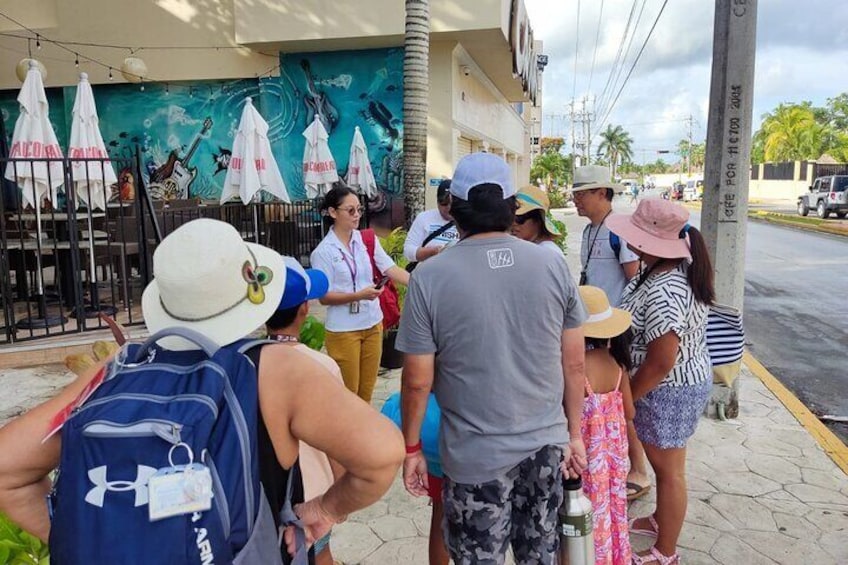 Cozumel: Private Tour by Van (up to 7 passengers)