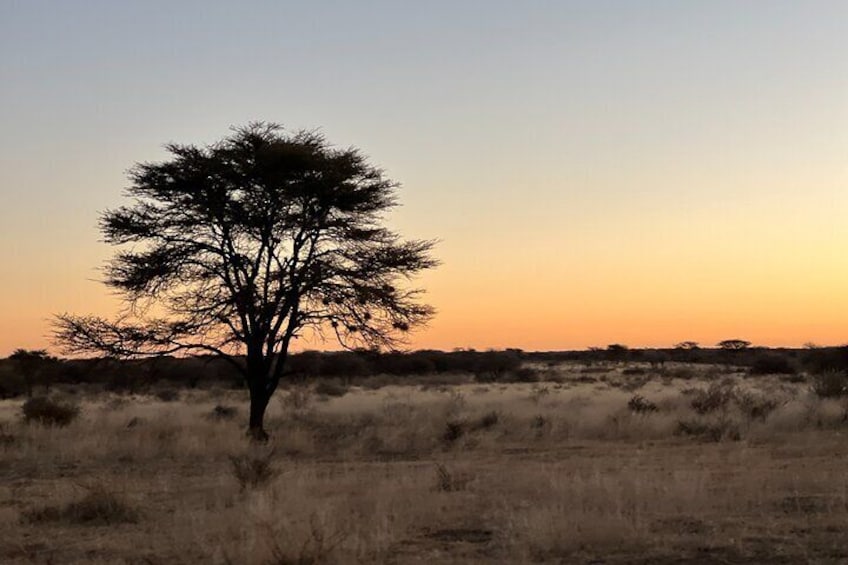 3 Days Safaris in Etosha | Guided Lodge