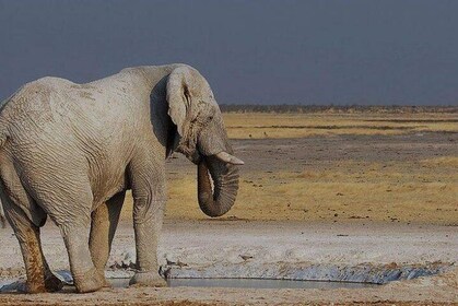 06 Days Etosha and Sossusvlei Namibia