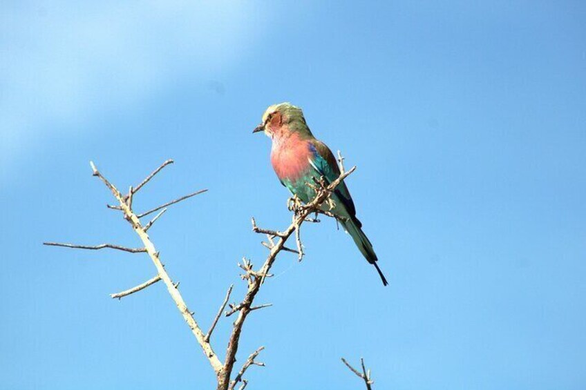 06 Days Etosha, Swakopmund and Sossusvlei | Guided Lodge