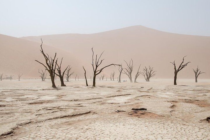 10 Days Taste of Namibia